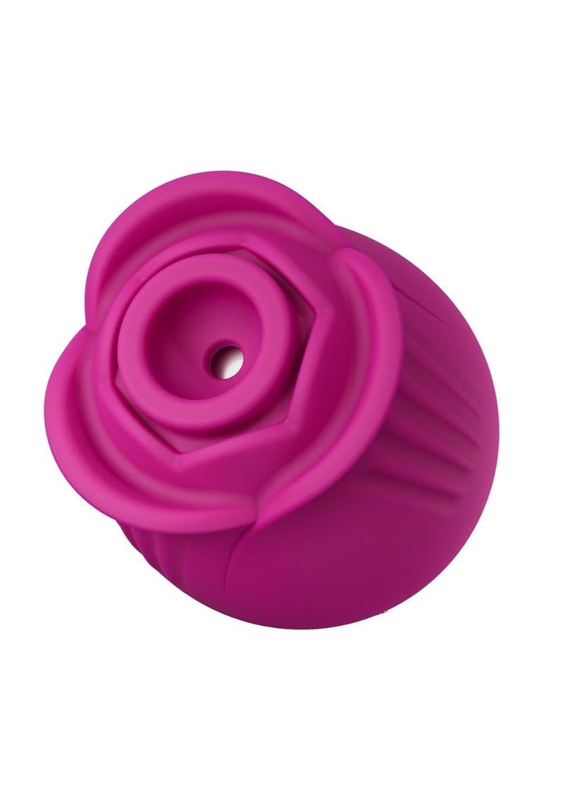 Blush Rose