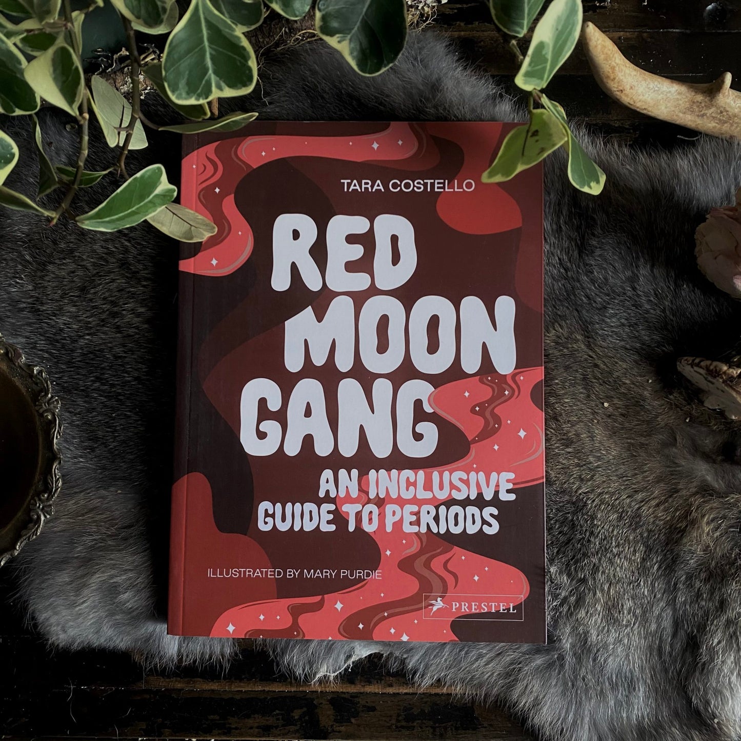 Red Moon Gang: An Inclusive Guide to Periods