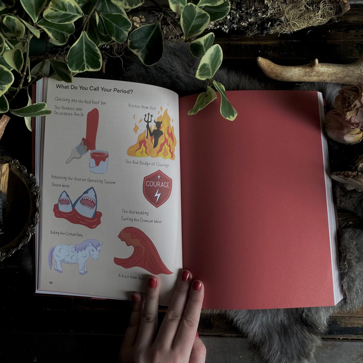 Red Moon Gang: An Inclusive Guide to Periods