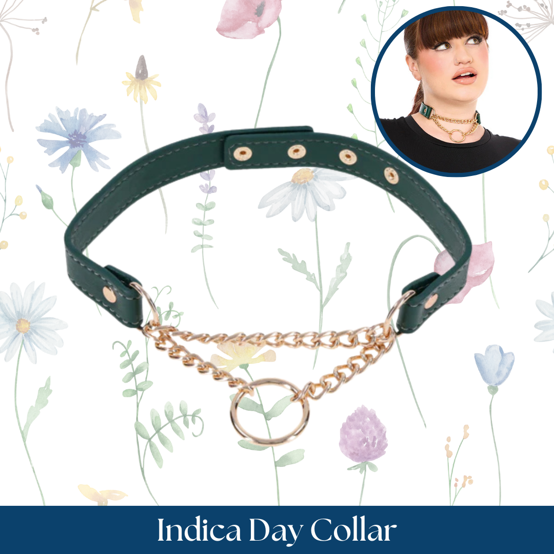 Sportsheets Sex & Mischief Indica Day Collar