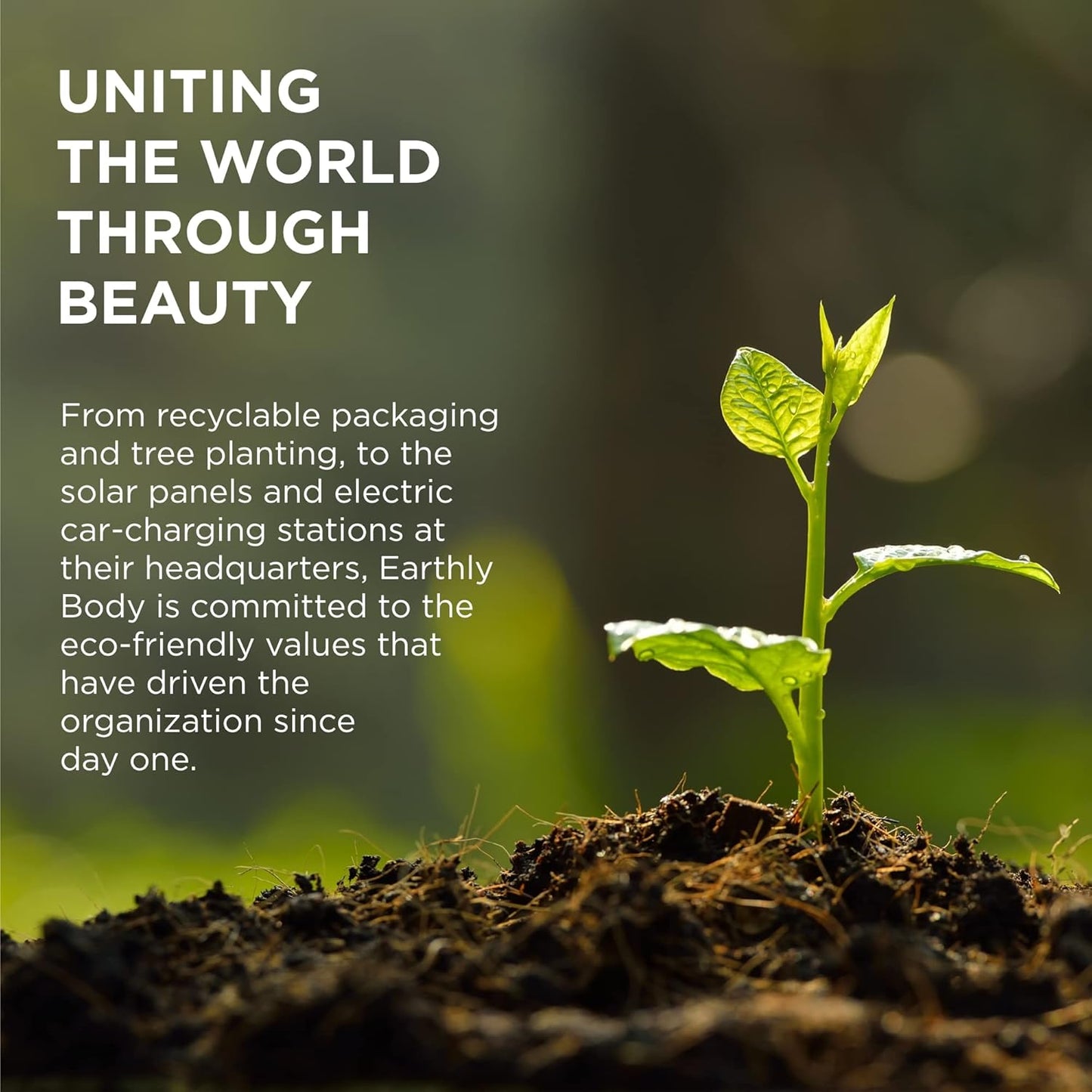 Earthly Body Massage and Body Oil