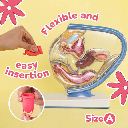 Uva Cup Menstrual Cup Set