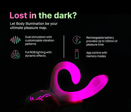 Illumination LED Rabbit