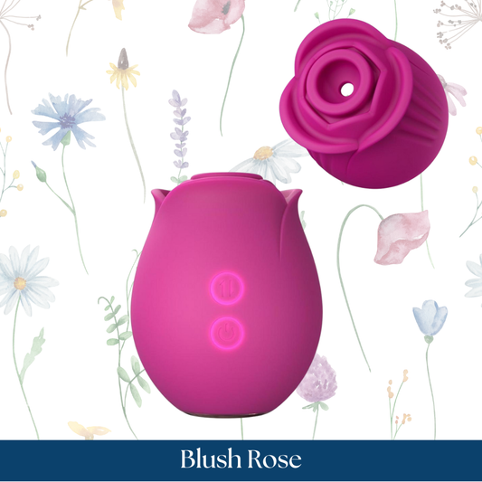 Blush Rose