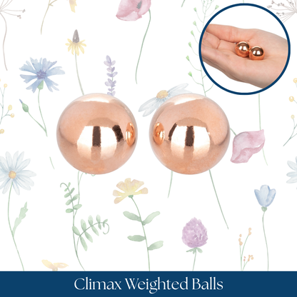 Climax Weighted Balls