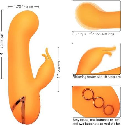 California Dreaming Montecito Muse