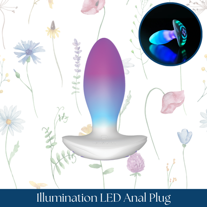 Illumination LED Anal Plug