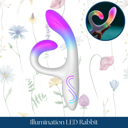 Illumination LED Rabbit