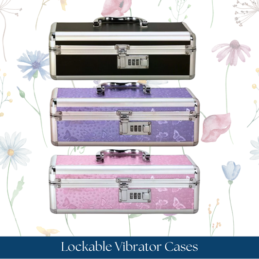 Lockable Vibrator Cases