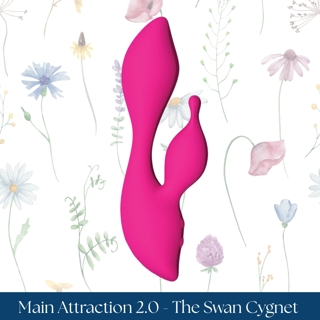 Main Attraction 2.0 - The Swan Cygnet