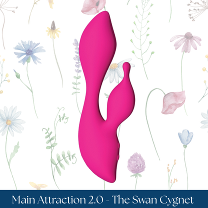 Main Attraction 2.0 - The Swan Cygnet
