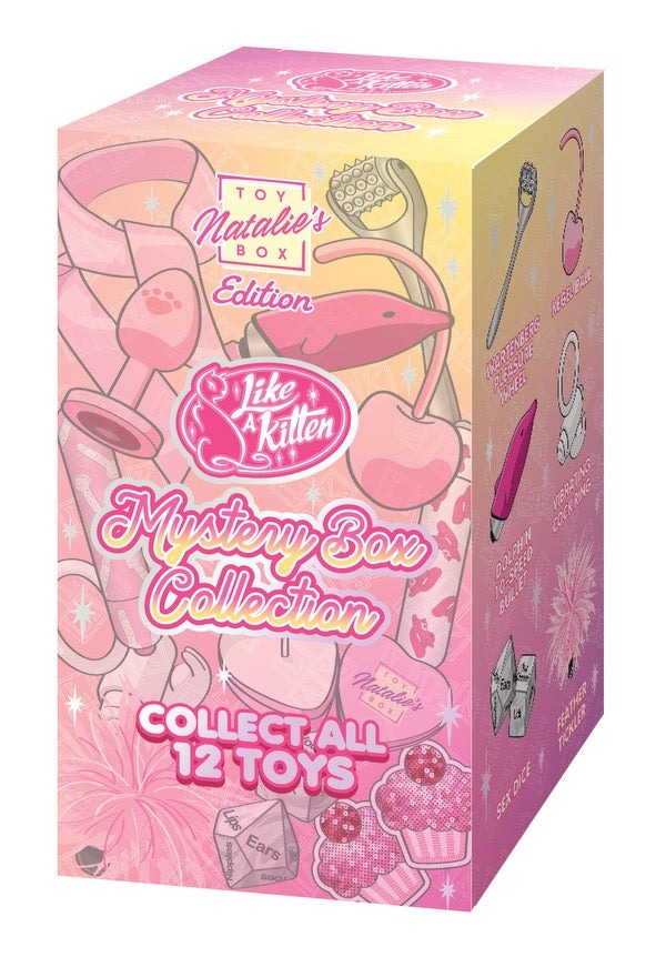 Mystery Box - Surprise Adult Toy | 1 of 12 Collectible Items