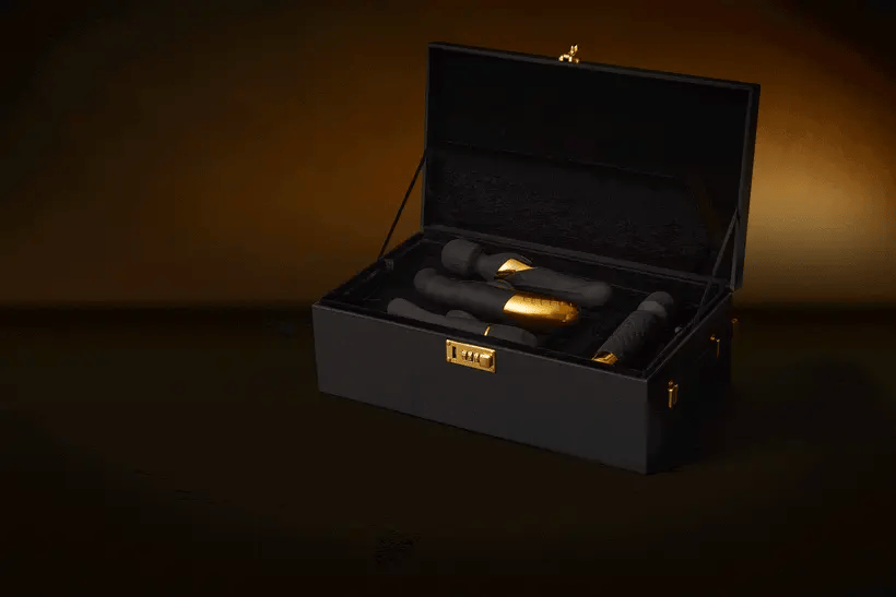 Strap On Me Prestige Discreet Toy Storage Box With Combination Lock