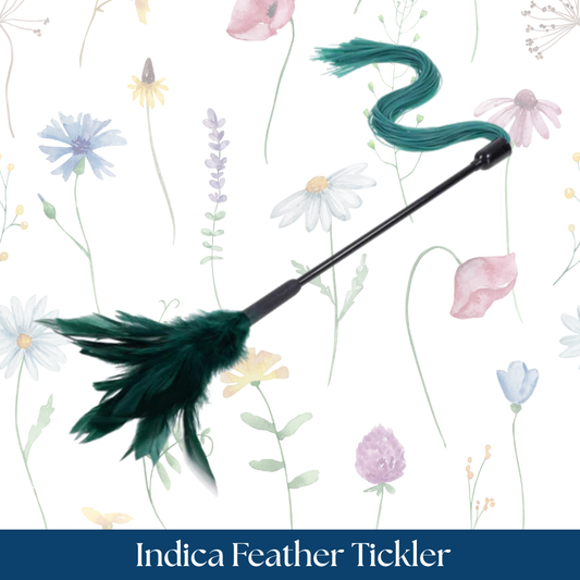 Sportsheets Sex & Mischief Indica Feather Tickler