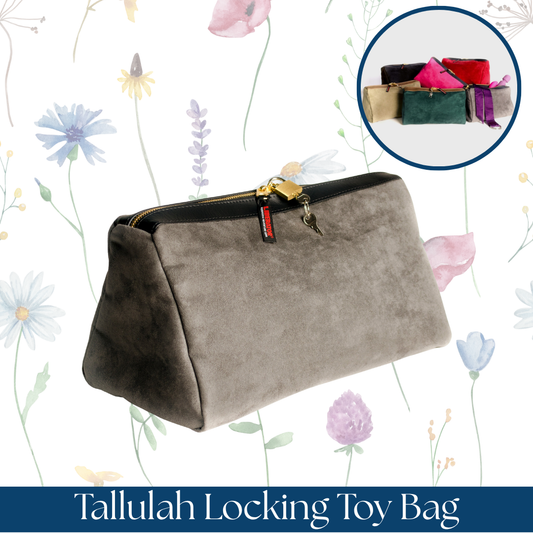Tallulah Locking Toy Bag