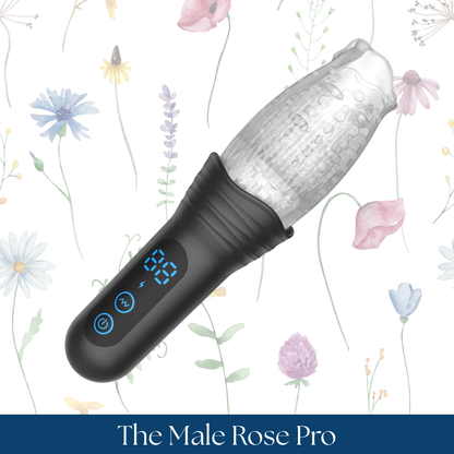 The Male Rose Pro