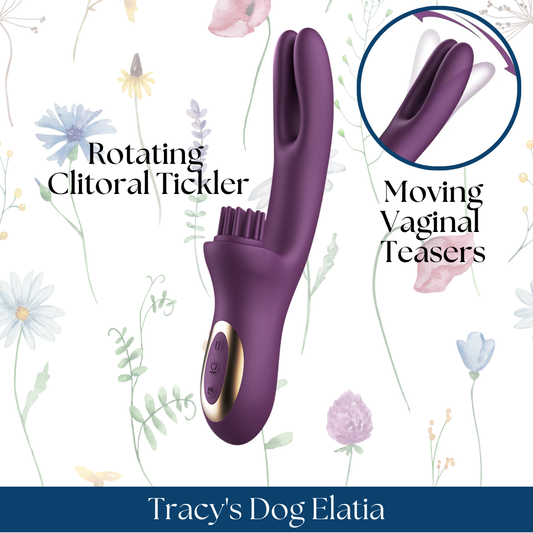 Tracy's Dog Elatia